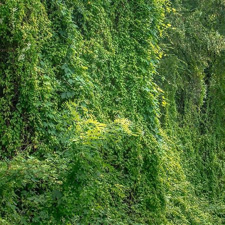 Podsabotin Turisticna Kmetija Stanfelヴィラ エクステリア 写真